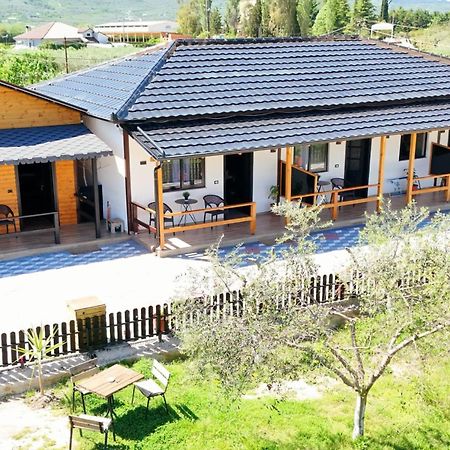 Olive Oasis Studio Berat Kültér fotó