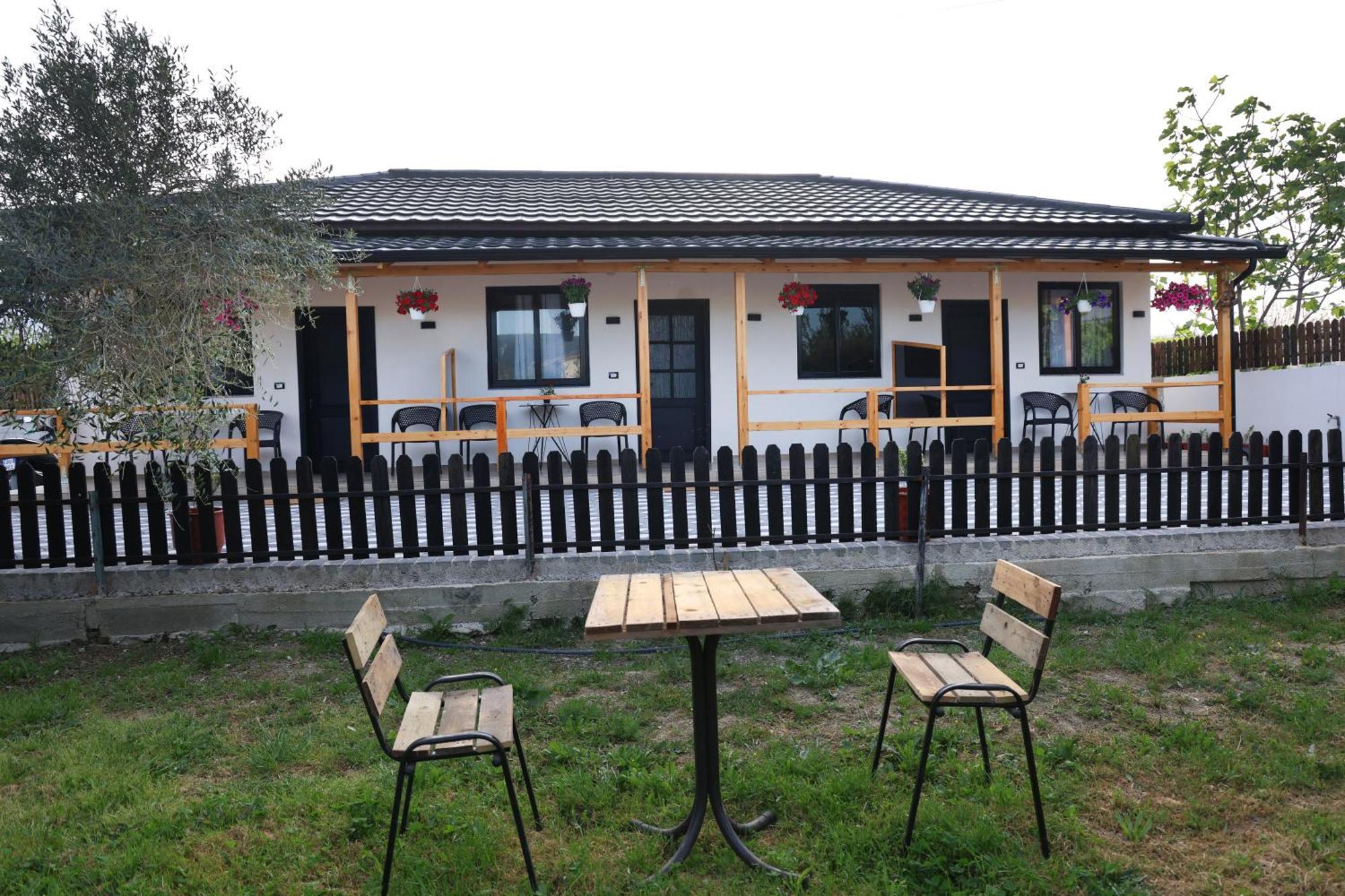 Olive Oasis Studio Berat Kültér fotó