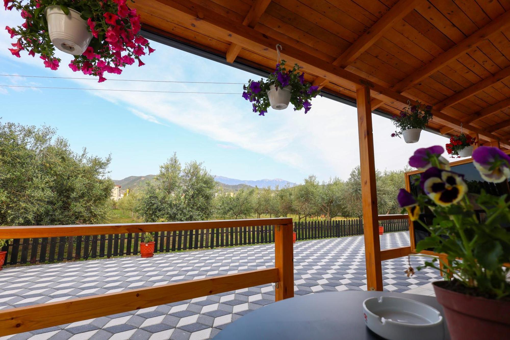 Olive Oasis Studio Berat Kültér fotó