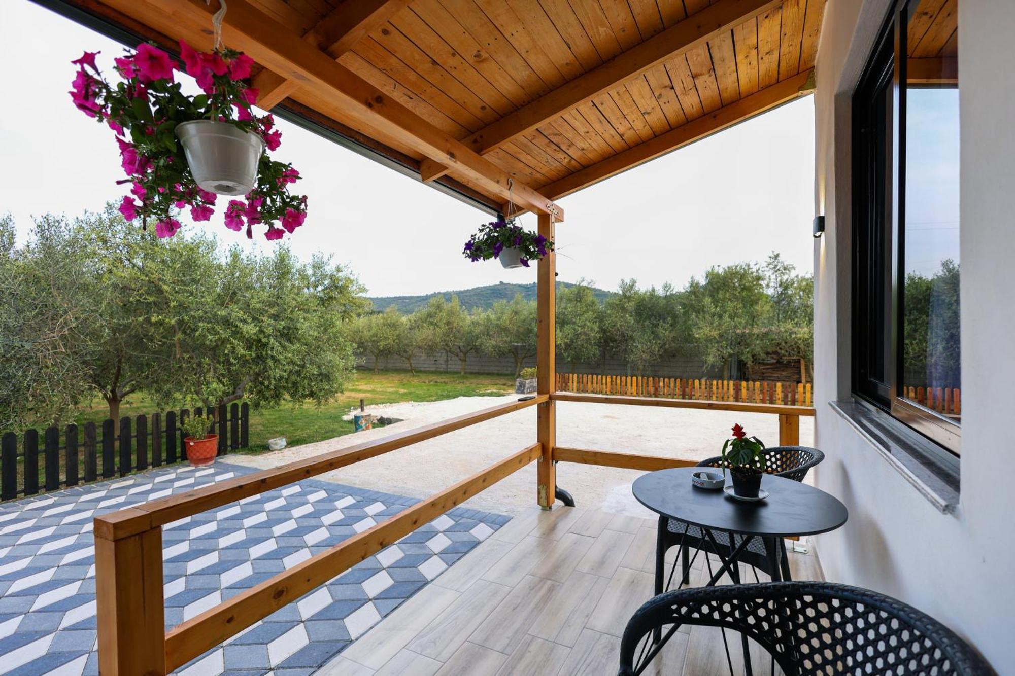 Olive Oasis Studio Berat Kültér fotó